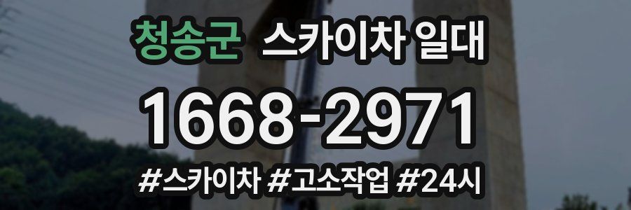 청송군 스카이차 일대