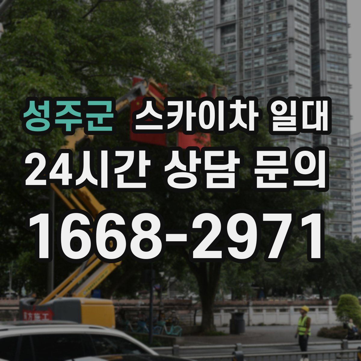 성주군 스카이차 일대