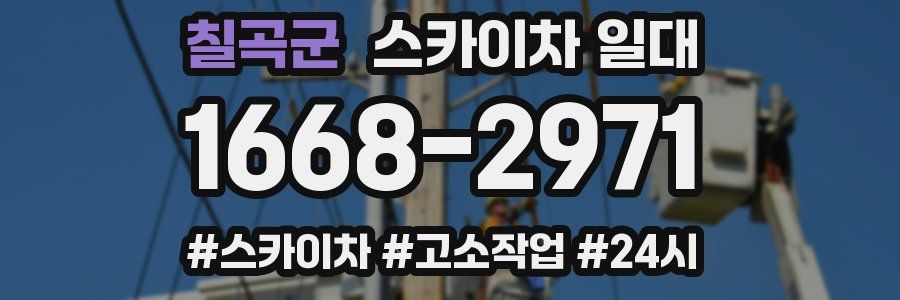 칠곡군 스카이차 일대
