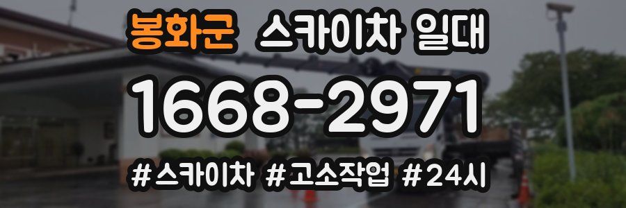 봉화군 스카이차 일대