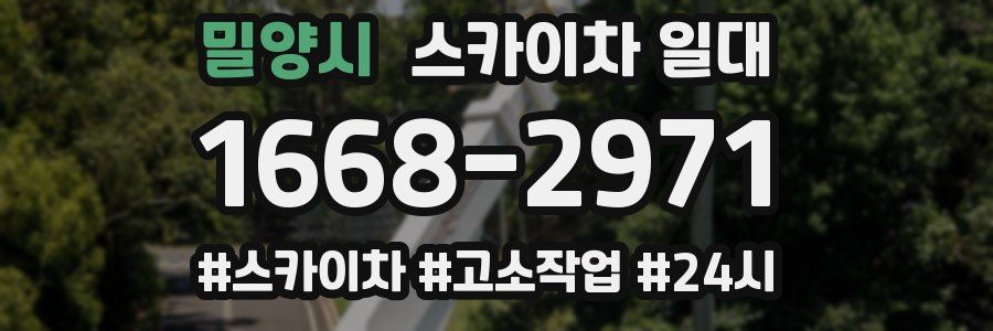 밀양시 스카이차 일대