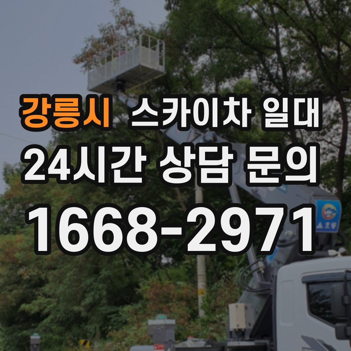 강릉시 스카이차 일대