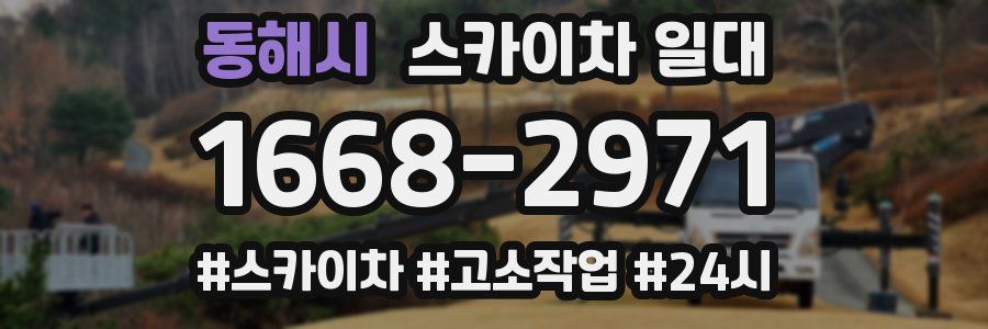 동해시 스카이차 일대
