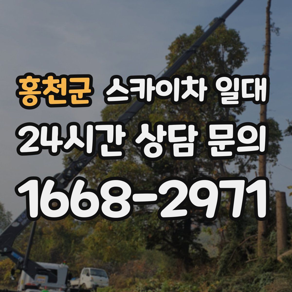 홍천군 스카이차 일대