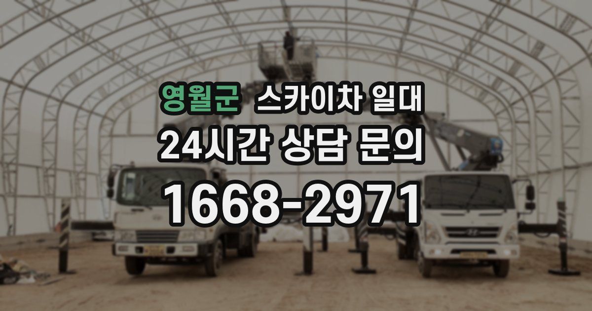 영월군 스카이차 일대
