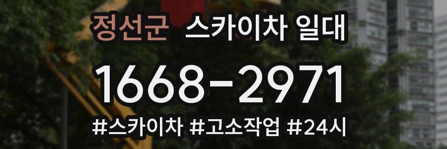 정선군 스카이차 일대