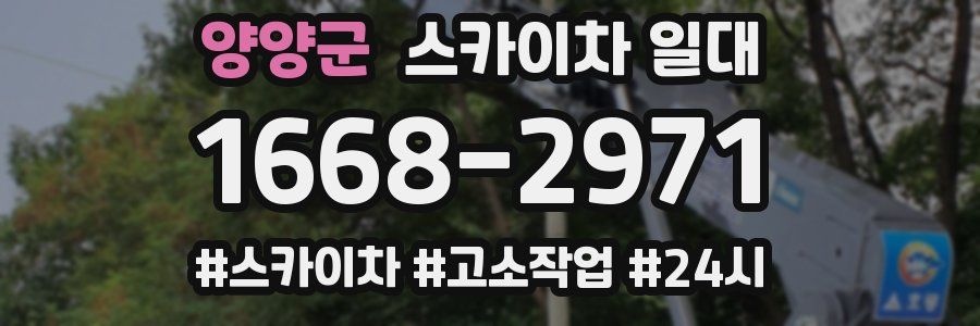 양양군 스카이차 일대