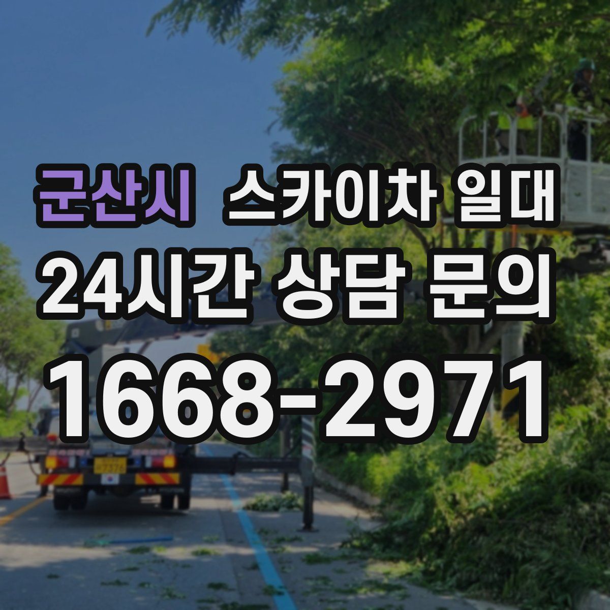 군산시 스카이차 일대