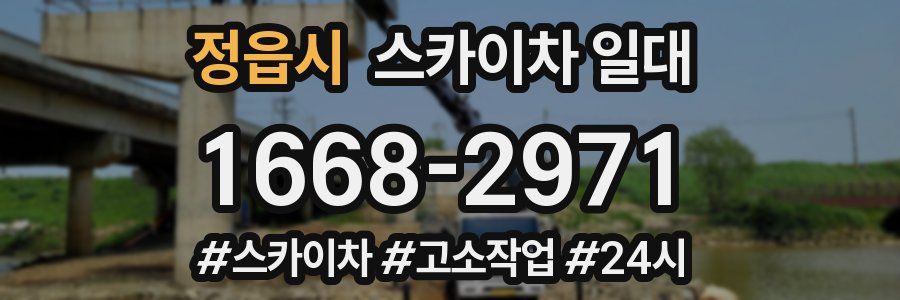 정읍시 스카이차 일대