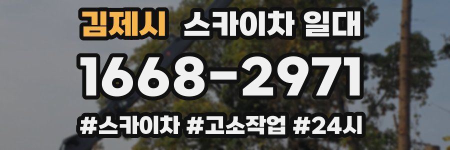 김제시 스카이차 일대
