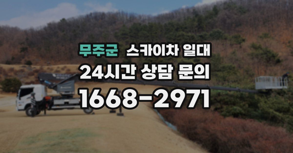 무주군 스카이차 일대