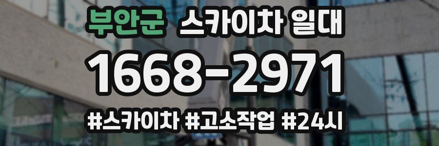 부안군 스카이차 일대