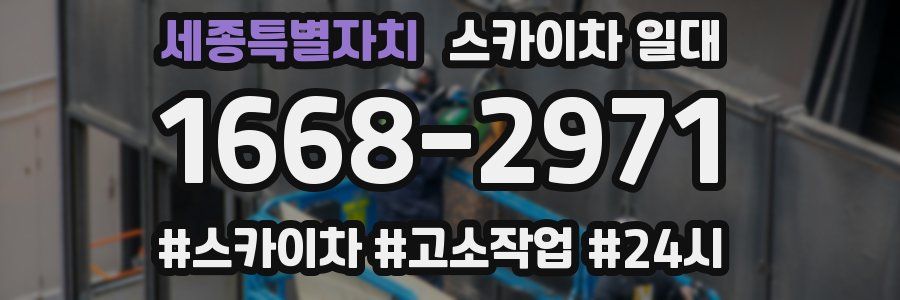 세종특별자치 스카이차 일대