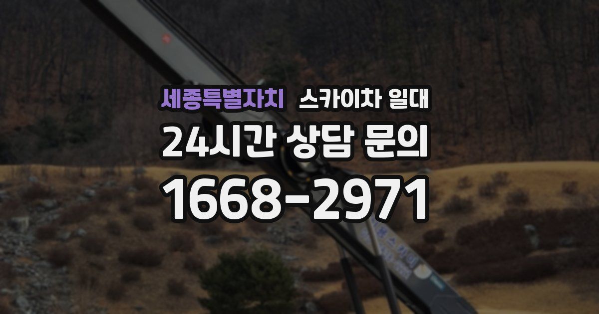 세종특별자치 스카이차 일대