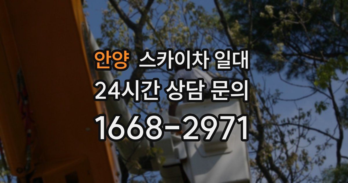 안양 스카이차 일대