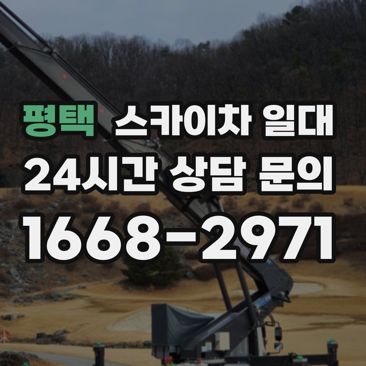평택 스카이차 일대