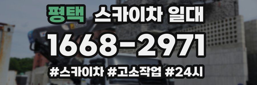 평택 스카이차 일대