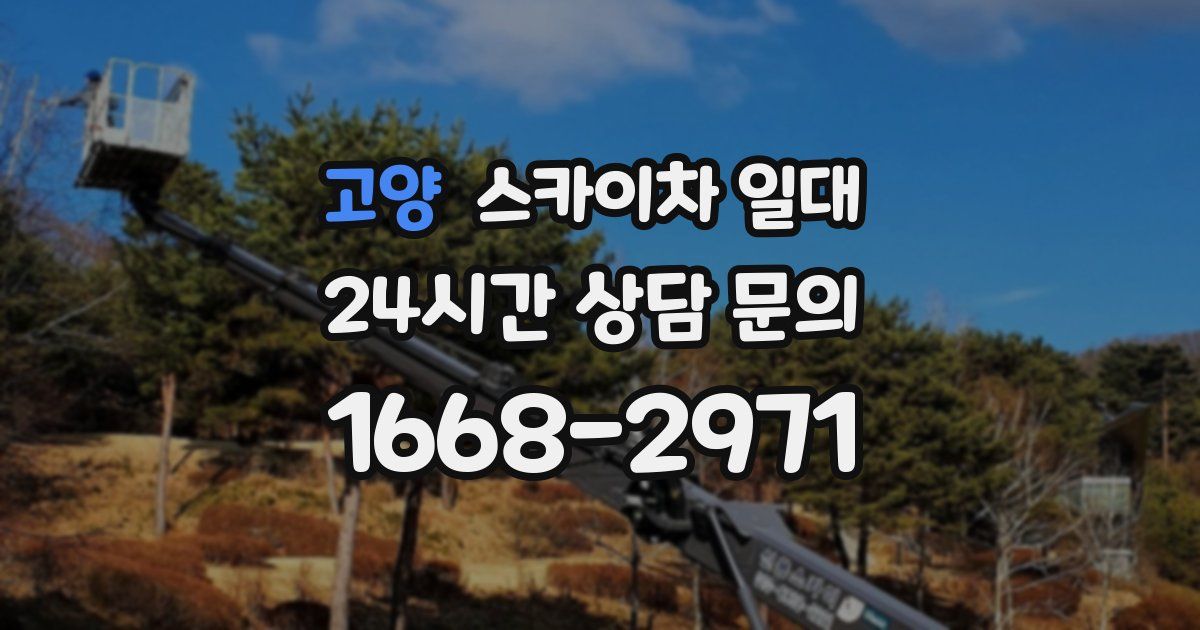 고양 스카이차 일대