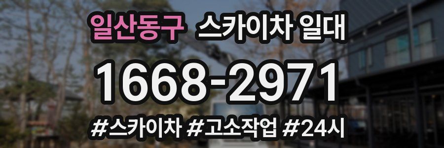 일산동구 스카이차 일대