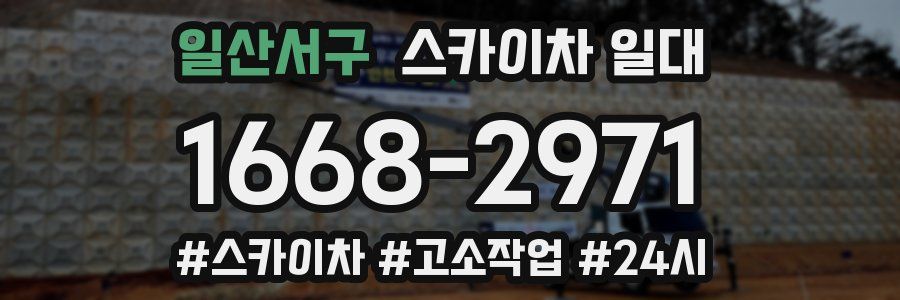 일산서구 스카이차 일대