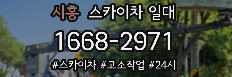 시흥 스카이차 일대