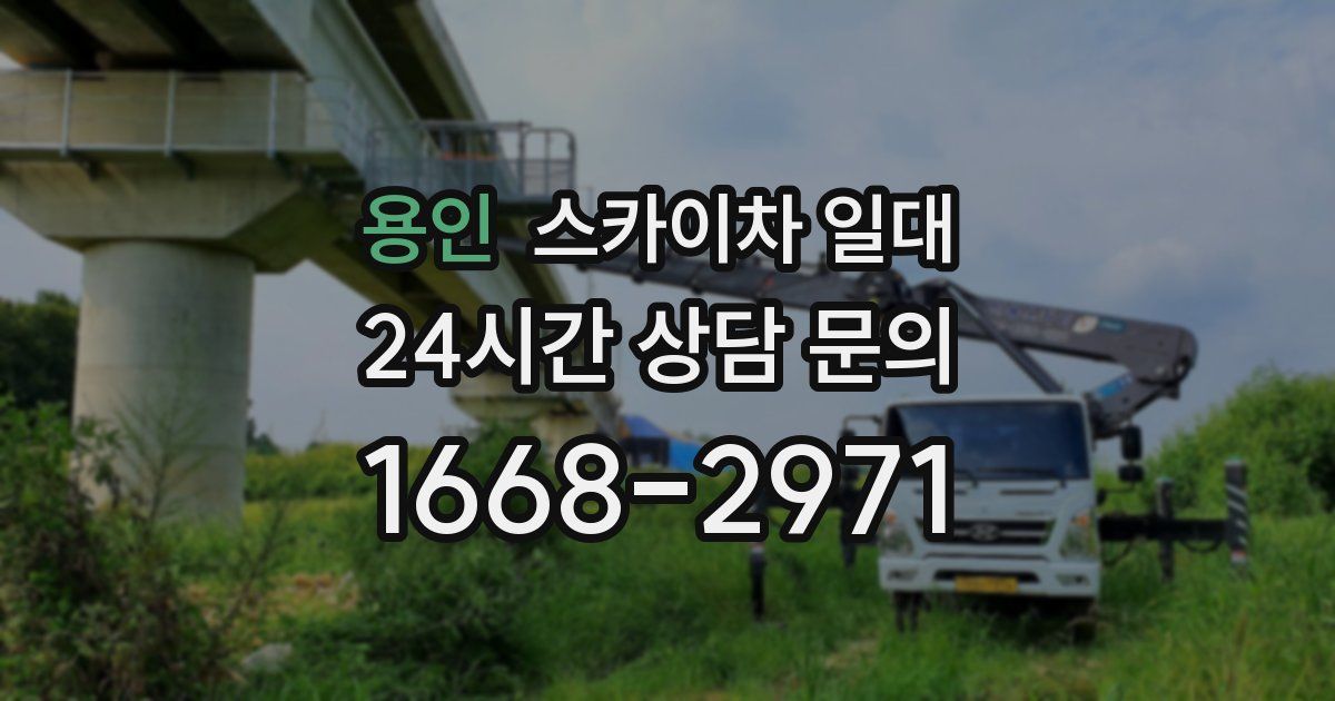 용인 스카이차 일대