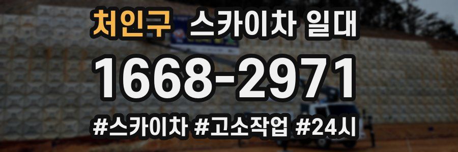 처인구 스카이차 일대