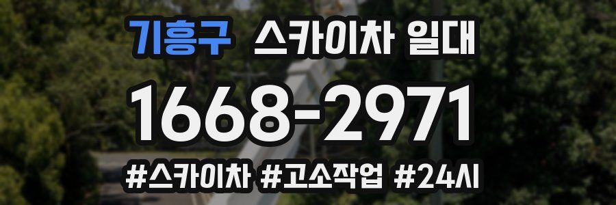 기흥구 스카이차 일대