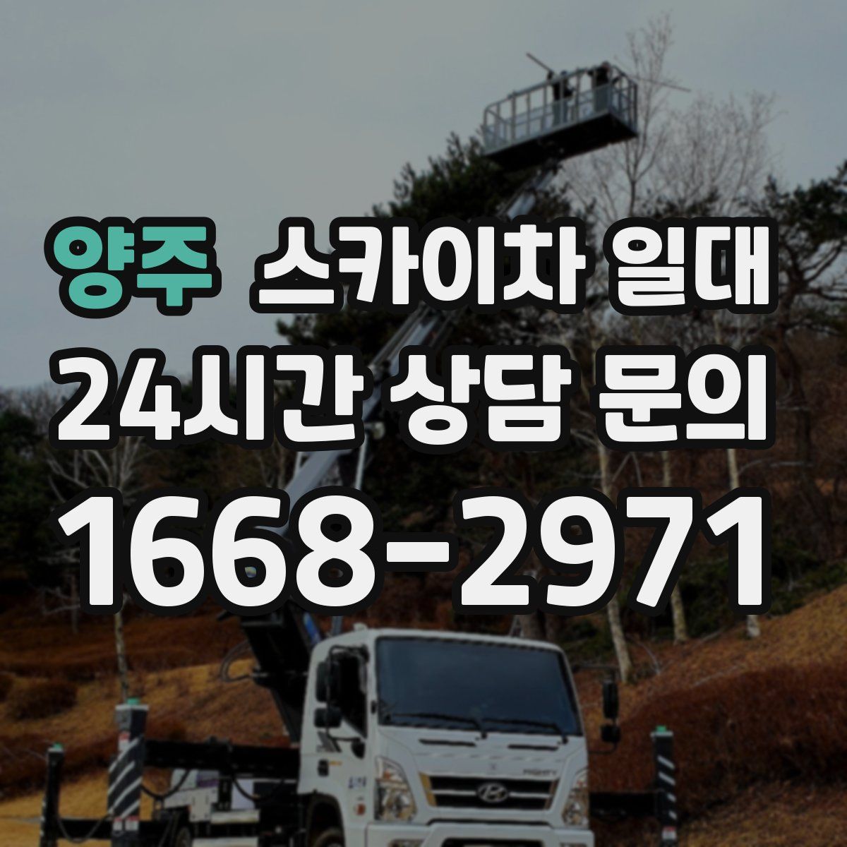 양주 스카이차 일대