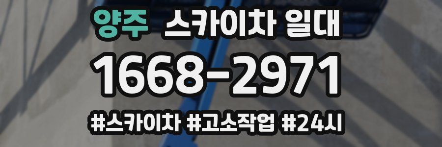 양주 스카이차 일대