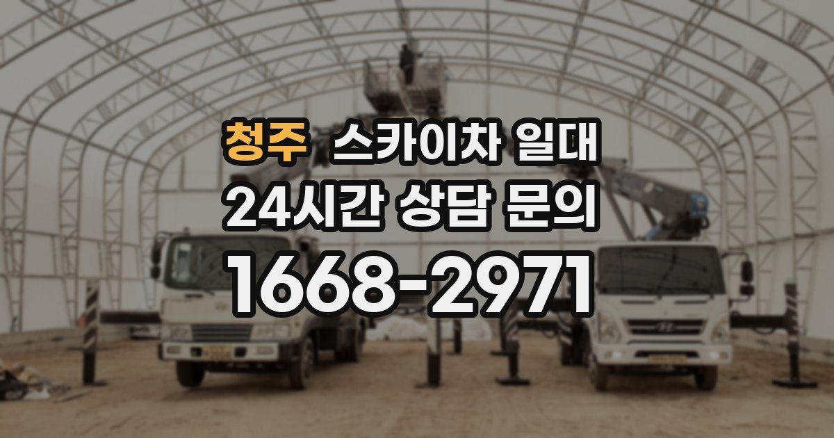 청주 스카이차 일대