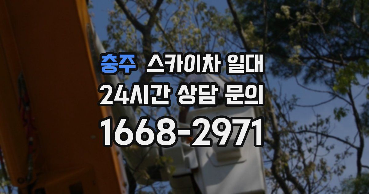 충주 스카이차 일대