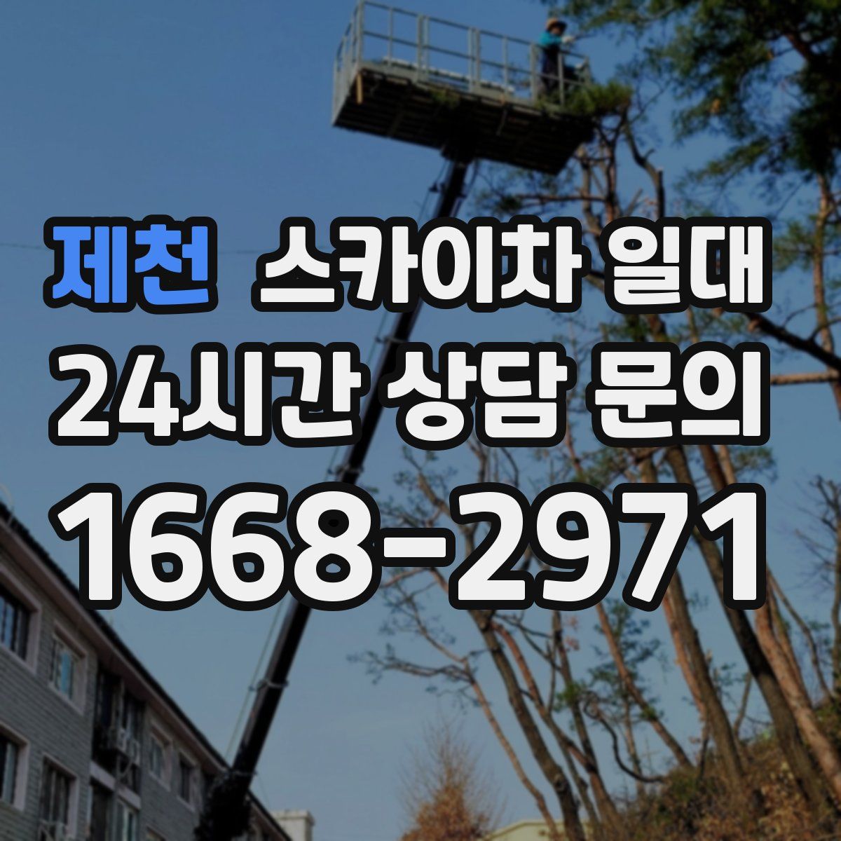 제천 스카이차 일대