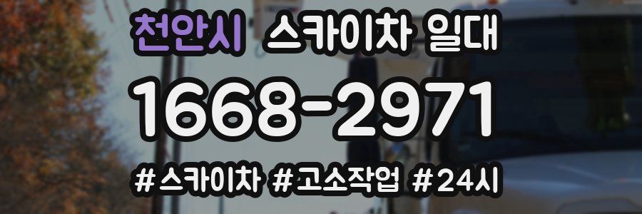 천안시 스카이차 일대
