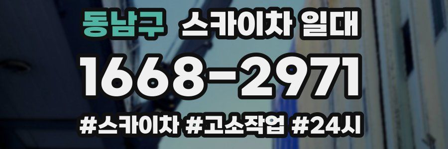 동남구 스카이차 일대