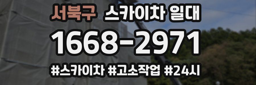 서북구 스카이차 일대