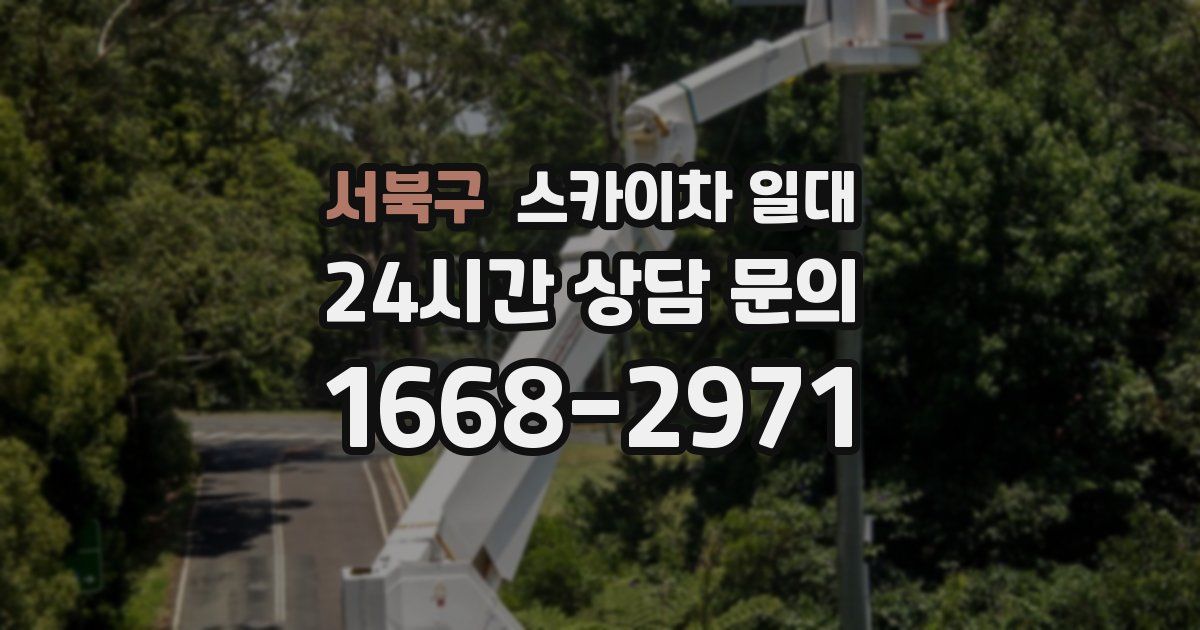 서북구 스카이차 일대