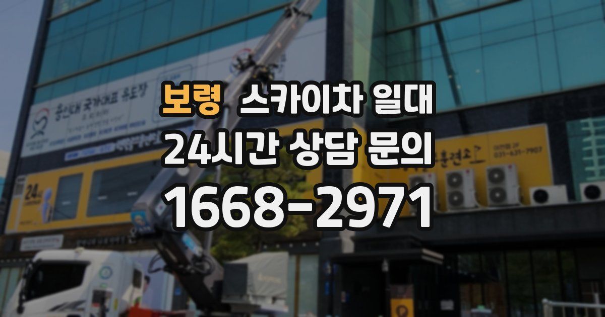 보령 스카이차 일대