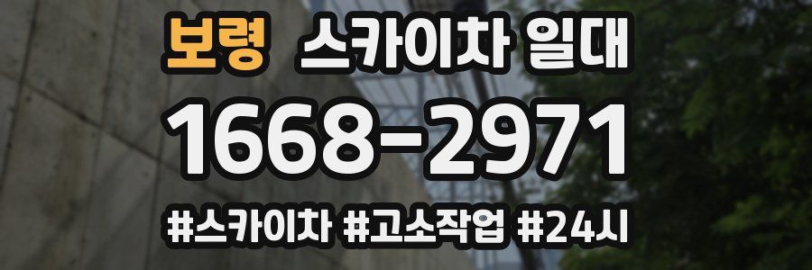 보령 스카이차 일대