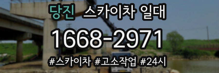 당진 스카이차 일대