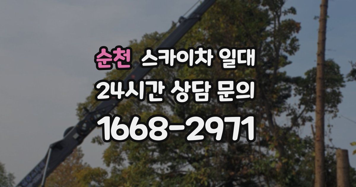 순천 스카이차 일대