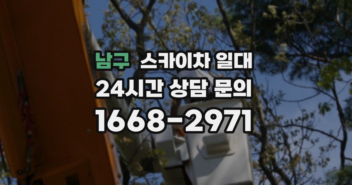 남구 스카이차 일대