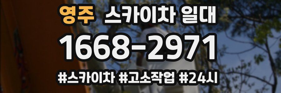 영주 스카이차 일대