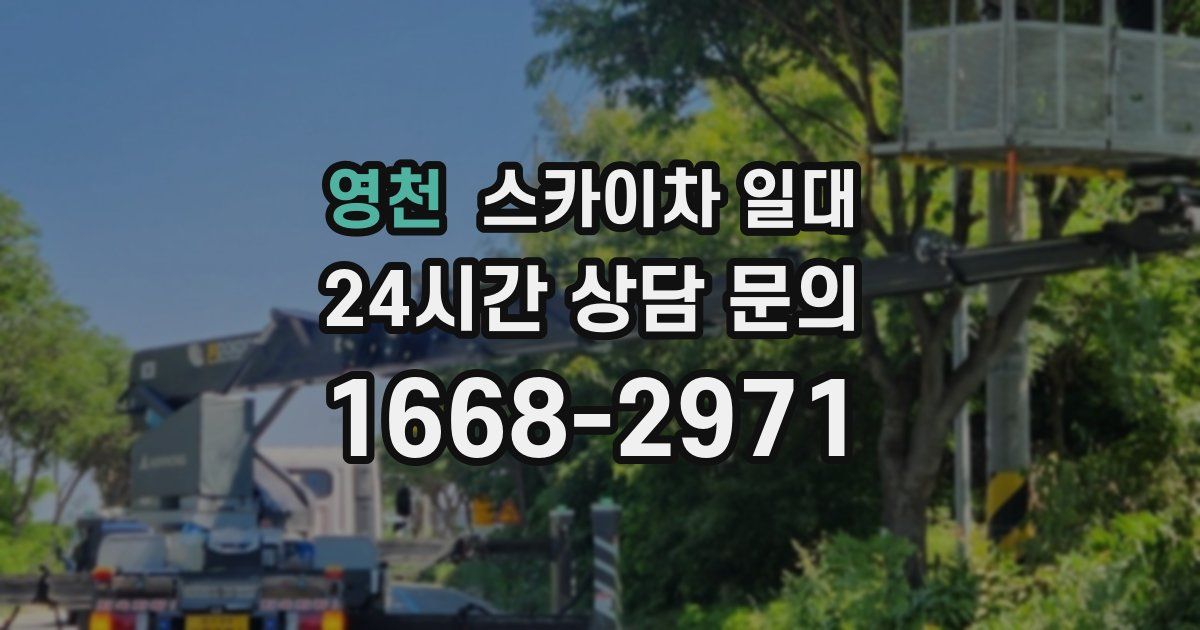 영천 스카이차 일대