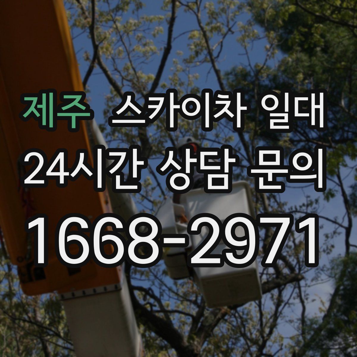 제주 스카이차 일대