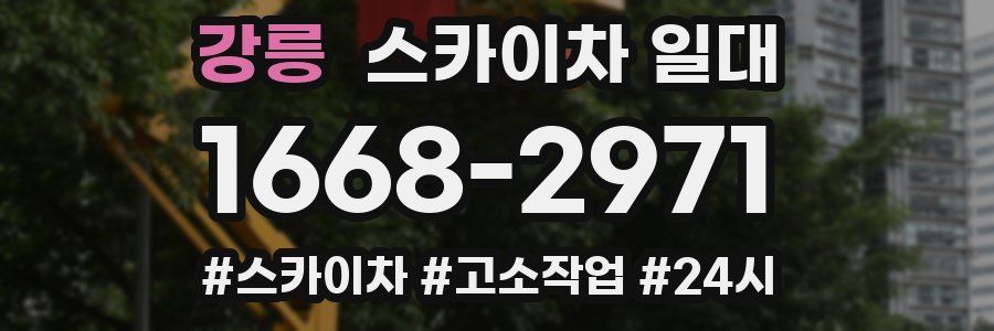 강릉 스카이차 일대