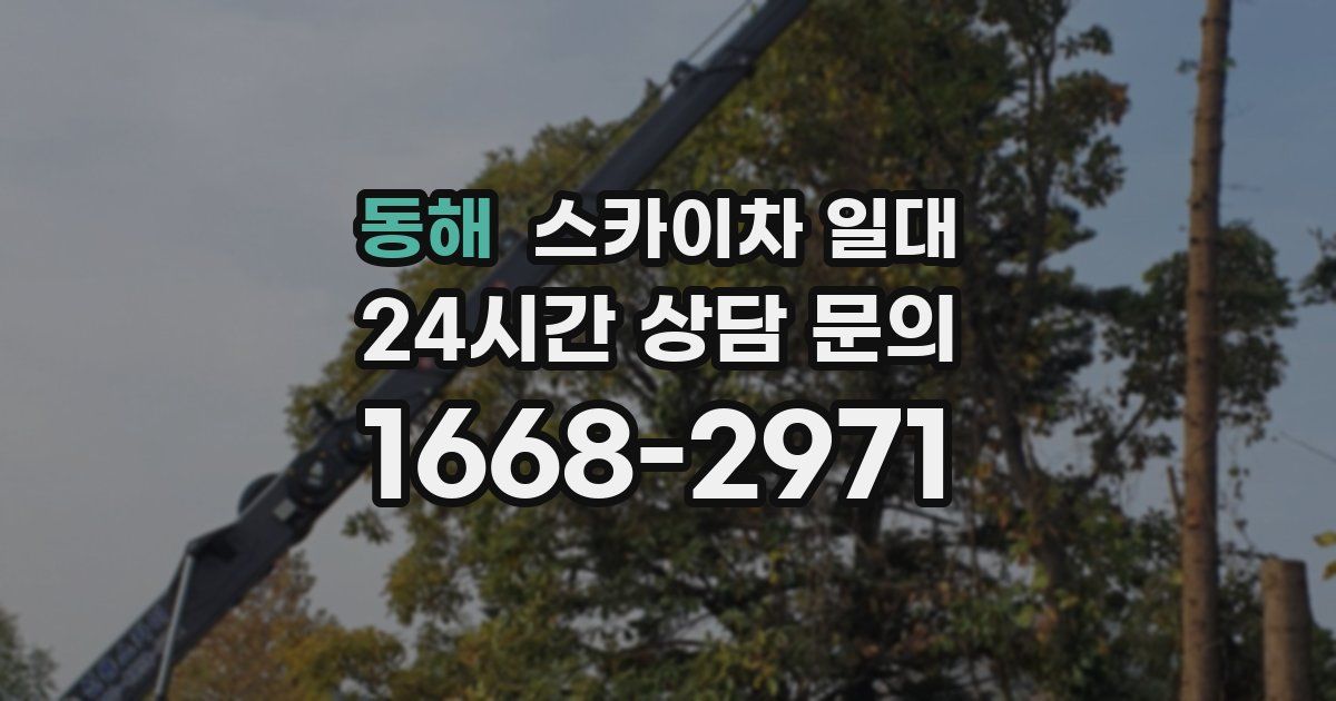 동해 스카이차 일대