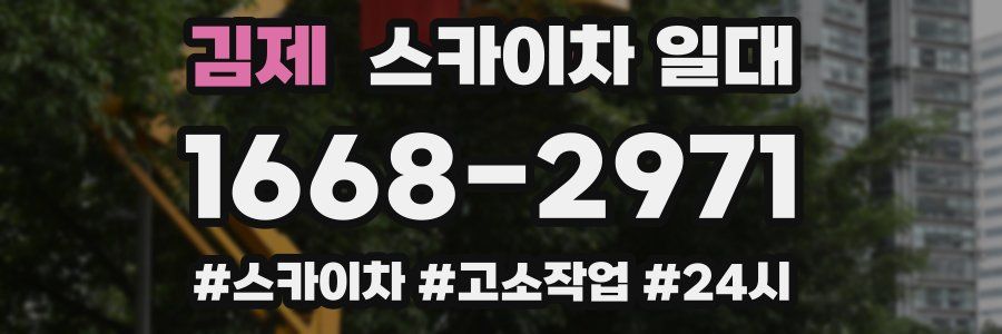 김제 스카이차 일대