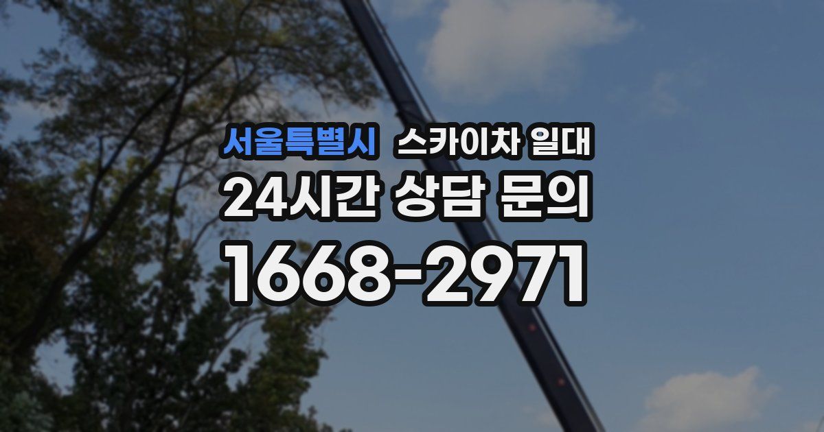 서울특별시 스카이차 일대