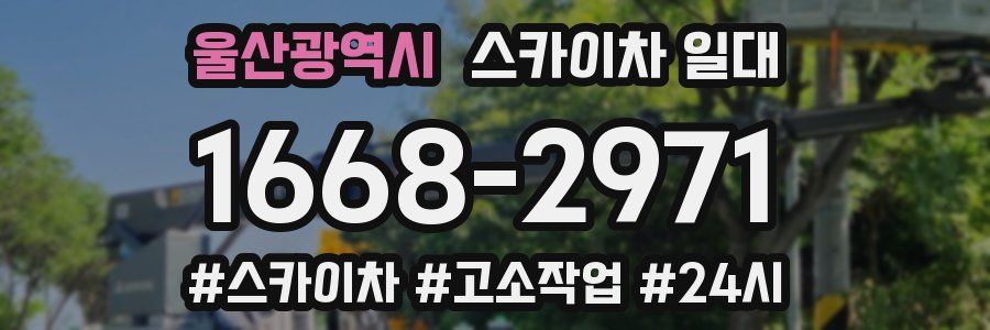 울산광역시 스카이차 일대